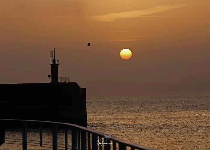 Loft Nordeste Διαμέρισμα