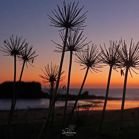 Loft Nordeste Appartamento *